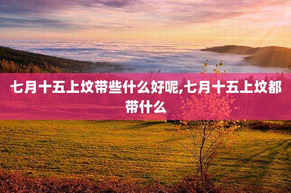 七月十五上坟带些什么好呢,七月十五上坟都带什么