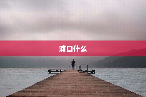 浦口什么
