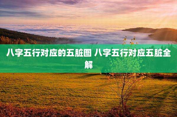八字五行对应的五脏图 八字五行对应五脏全解