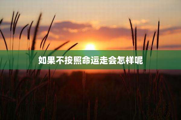 如果不按照命运走会怎样呢