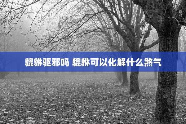 貔貅驱邪吗 貔貅可以化解什么煞气