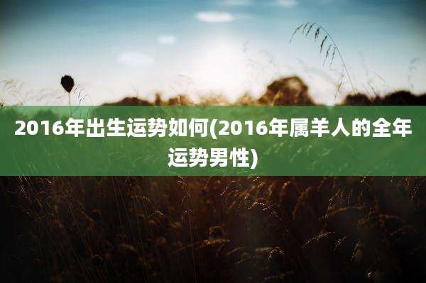 2016年出生运势如何(2016年属羊人的全年运势男性)