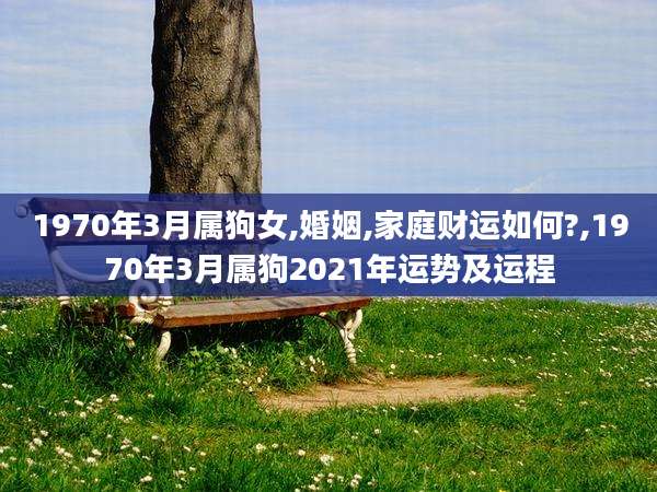 1970年3月属狗女,婚姻,家庭财运如何?,1970年3月属狗2021年运势及运程