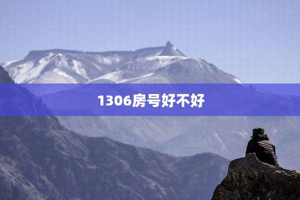 1306房号好不好
