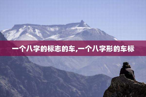 一个八字的标志的车,一个八字形的车标