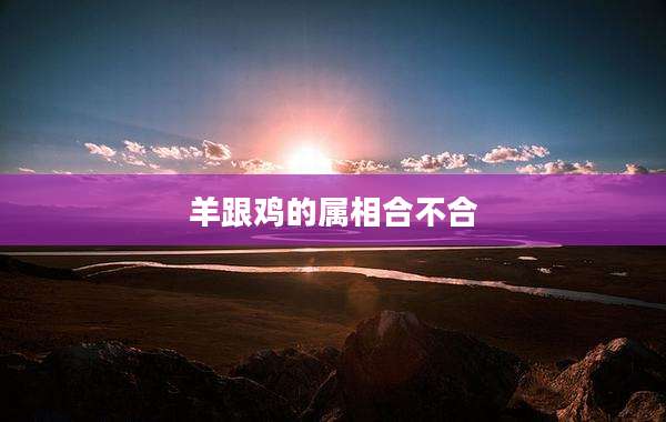 羊跟鸡的属相合不合