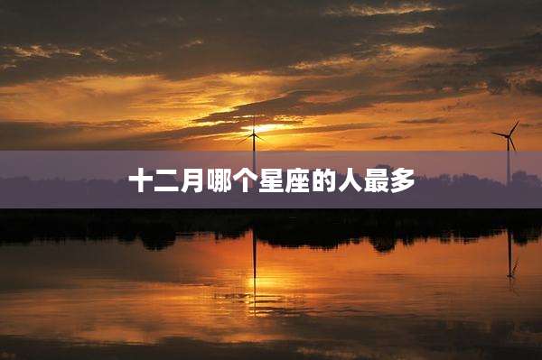十二月哪个星座的人最多