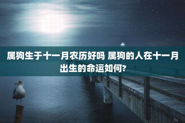 属狗生于十一月农历好吗 属狗的人在十一月出生的命运如何?