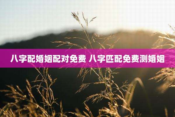 八字配婚姻配对免费 八字匹配免费测婚姻