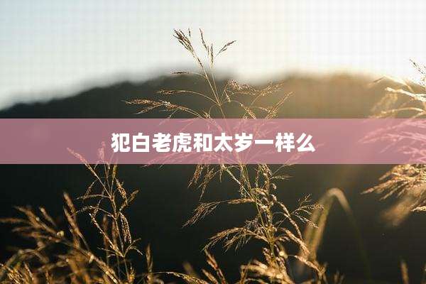 犯白老虎和太岁一样么