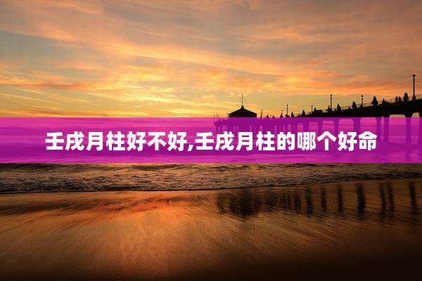 壬戌月柱好不好,壬戌月柱的哪个好命
