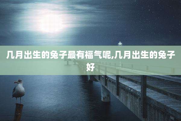 几月出生的兔子最有福气呢,几月出生的兔子好