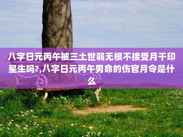 八字日元丙午被三土世弱无根不接受月干印星生吗?,八字日元丙午男命的伤官月令是什么