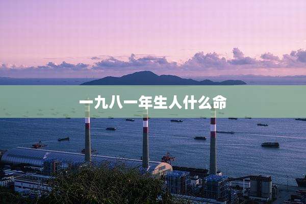 一九八一年生人什么命