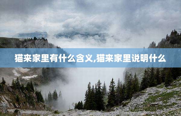 猫来家里有什么含义,猫来家里说明什么