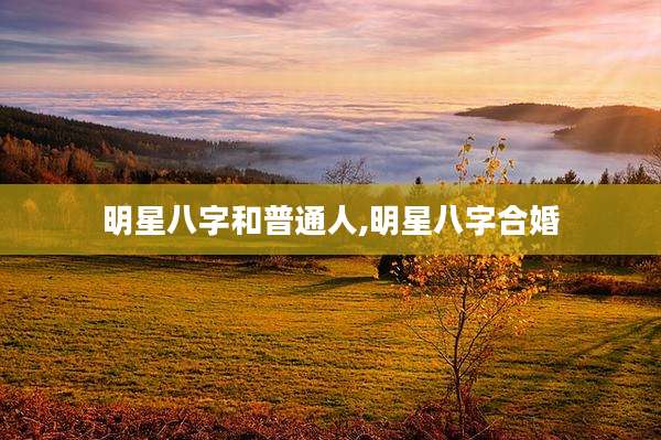 明星八字和普通人,明星八字合婚