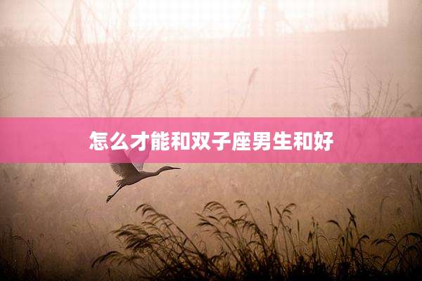 怎么才能和双子座男生和好
