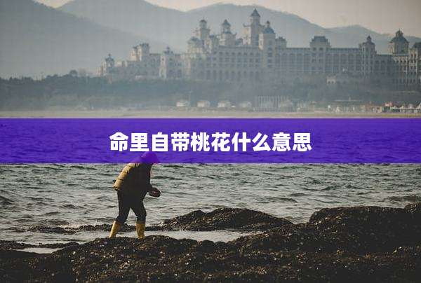 命里自带桃花什么意思