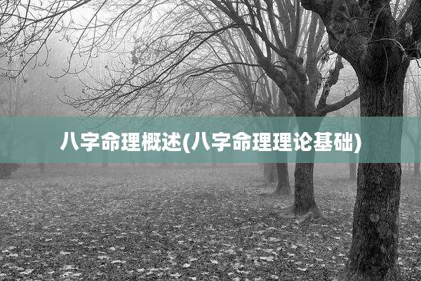 八字命理概述(八字命理理论基础)