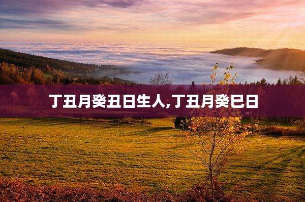 丁丑月癸丑日生人,丁丑月癸巳日