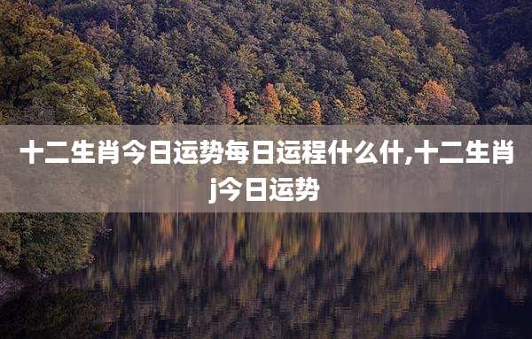 十二生肖今日运势每日运程什么什,十二生肖j今日运势