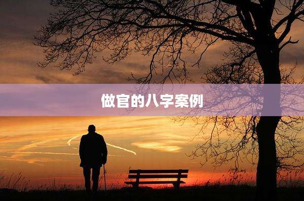 做官的八字案例