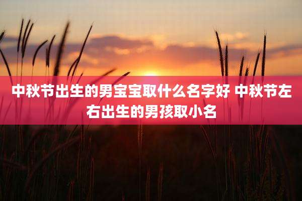 中秋节出生的男宝宝取什么名字好 中秋节左右出生的男孩取小名