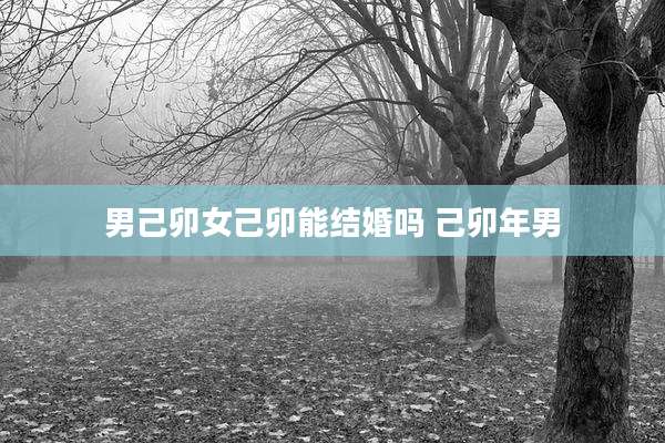 男己卯女己卯能结婚吗 己卯年男