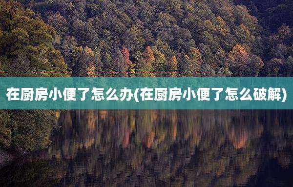 在厨房小便了怎么办(在厨房小便了怎么破解)