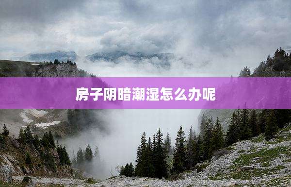 房子阴暗潮湿怎么办呢