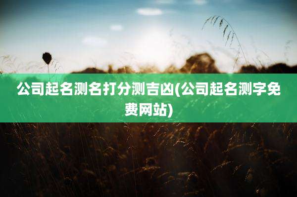 公司起名测名打分测吉凶(公司起名测字免费网站)