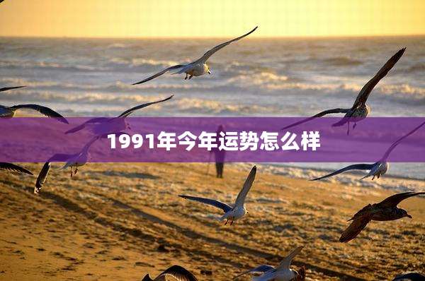 1991年今年运势怎么样