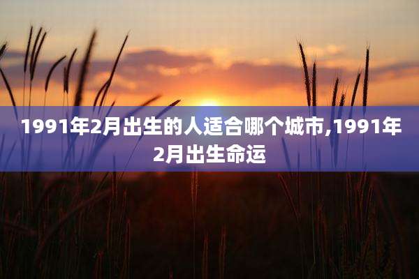 1991年2月出生的人适合哪个城市,1991年2月出生命运
