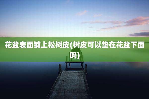 花盆表面铺上松树皮(树皮可以垫在花盆下面吗)