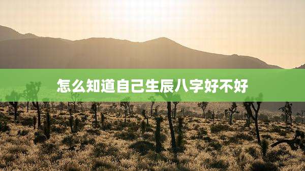怎么知道自己生辰八字好不好