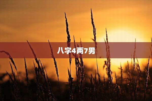 八字4两7男
