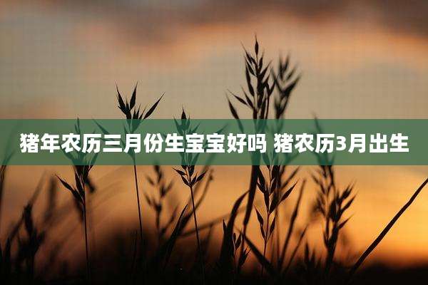 猪年农历三月份生宝宝好吗 猪农历3月出生