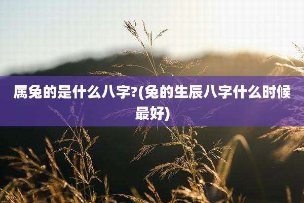 属兔的是什么八字?(兔的生辰八字什么时候最好)