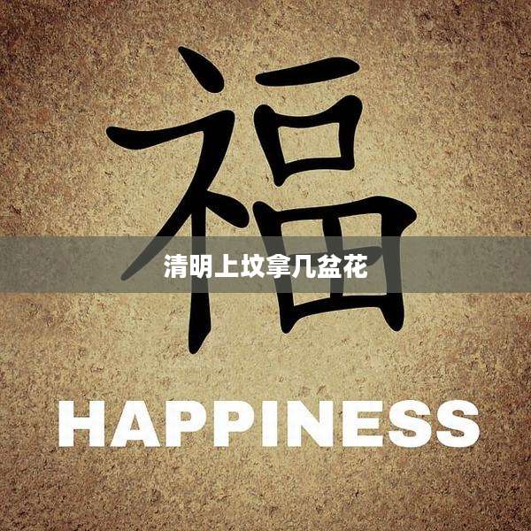 清明上坟拿几盆花