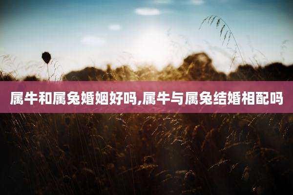 属牛和属兔婚姻好吗,属牛与属兔结婚相配吗