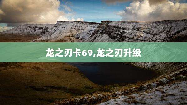 龙之刃卡69,龙之刃升级
