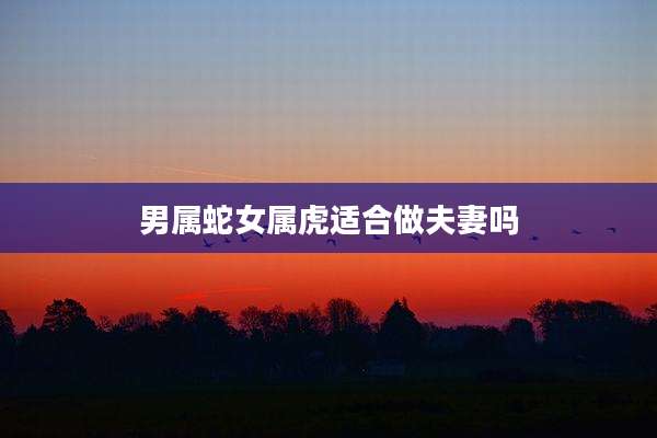 男属蛇女属虎适合做夫妻吗
