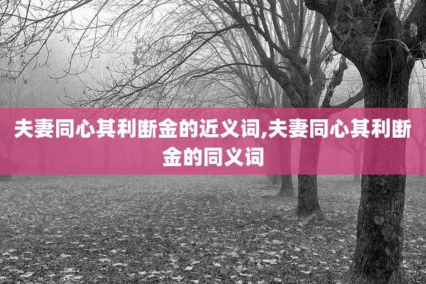 夫妻同心其利断金的近义词,夫妻同心其利断金的同义词