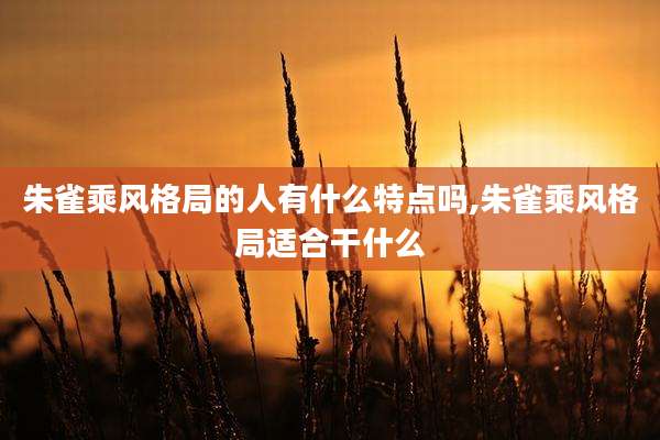 朱雀乘风格局的人有什么特点吗,朱雀乘风格局适合干什么