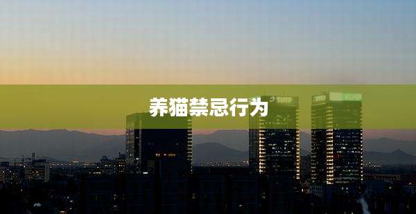 养猫禁忌行为