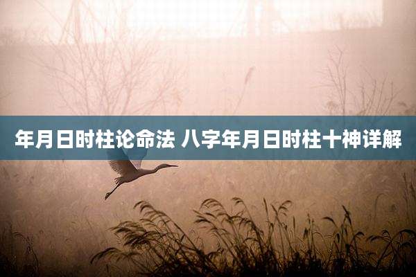 年月日时柱论命法 八字年月日时柱十神详解