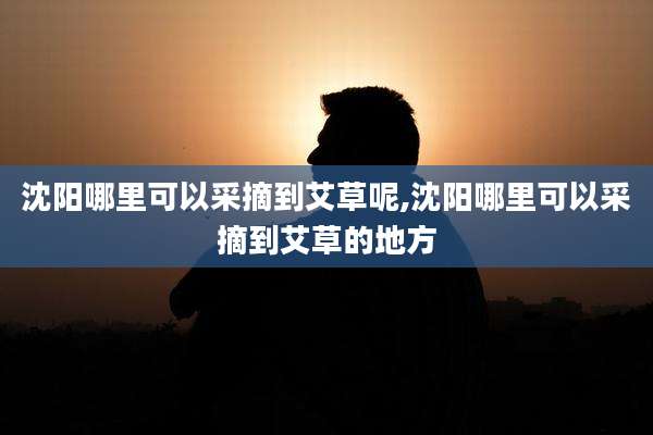 沈阳哪里可以采摘到艾草呢,沈阳哪里可以采摘到艾草的地方