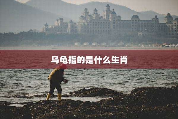 乌龟指的是什么生肖