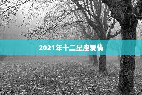 2021年十二星座爱情