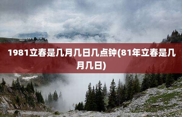 1981立春是几月几日几点钟(81年立春是几月几日)